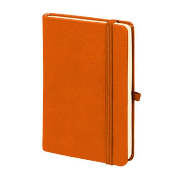 M-701 Aslan Tarihsiz Defter (9x14) Logolu Baski Fiyatlari