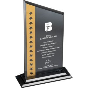 Ekt 315 Kristal Plaket
