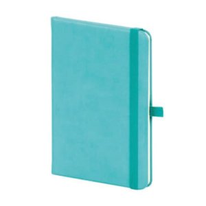 M-701 Aslan Tarihsiz Defter (9×14)